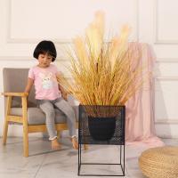 uploads/erp/collection/images/Home Garden/CongDing/XU0611605/img_b/XU0611605_img_b_3